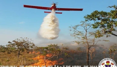 A ONF Brasil participou do debate organizado pelo governo de Mato Grosso sobre a prevenção de incêndios
