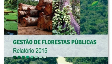 Relatório apresenta conquistas na gestão das Florestas Públicas