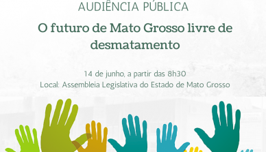 Parlamentares, gestores e sociedade civil debatem sobre Mato Grosso livre de desmatamento