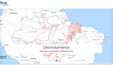 IPAM lança plataforma para auxiliar Estados amazônicos no combate ao desmatamento