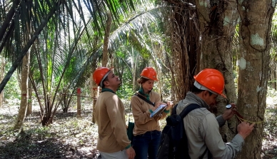 Certificadora visita Fazenda São Nicolau para avaliar absorção de carbono e benefícios do projeto Poço de Carbono Florestal Peugeot-ONF para a comunidade