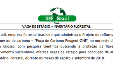 A ONF Brasil lança edital para vaga de estágio