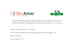 Termo de Referência para contratação de uma empresa para apoiar o desenvolvimento de organização coletiva em Cotriguaçu – MT