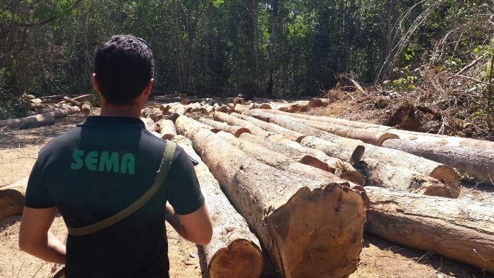 Governo intensifica ações de combate ao transporte irregular de produtos florestais, desmatamento ilegal e exploração de madeira não autorizada em Mato Grosso. - Foto por: Fiscalização