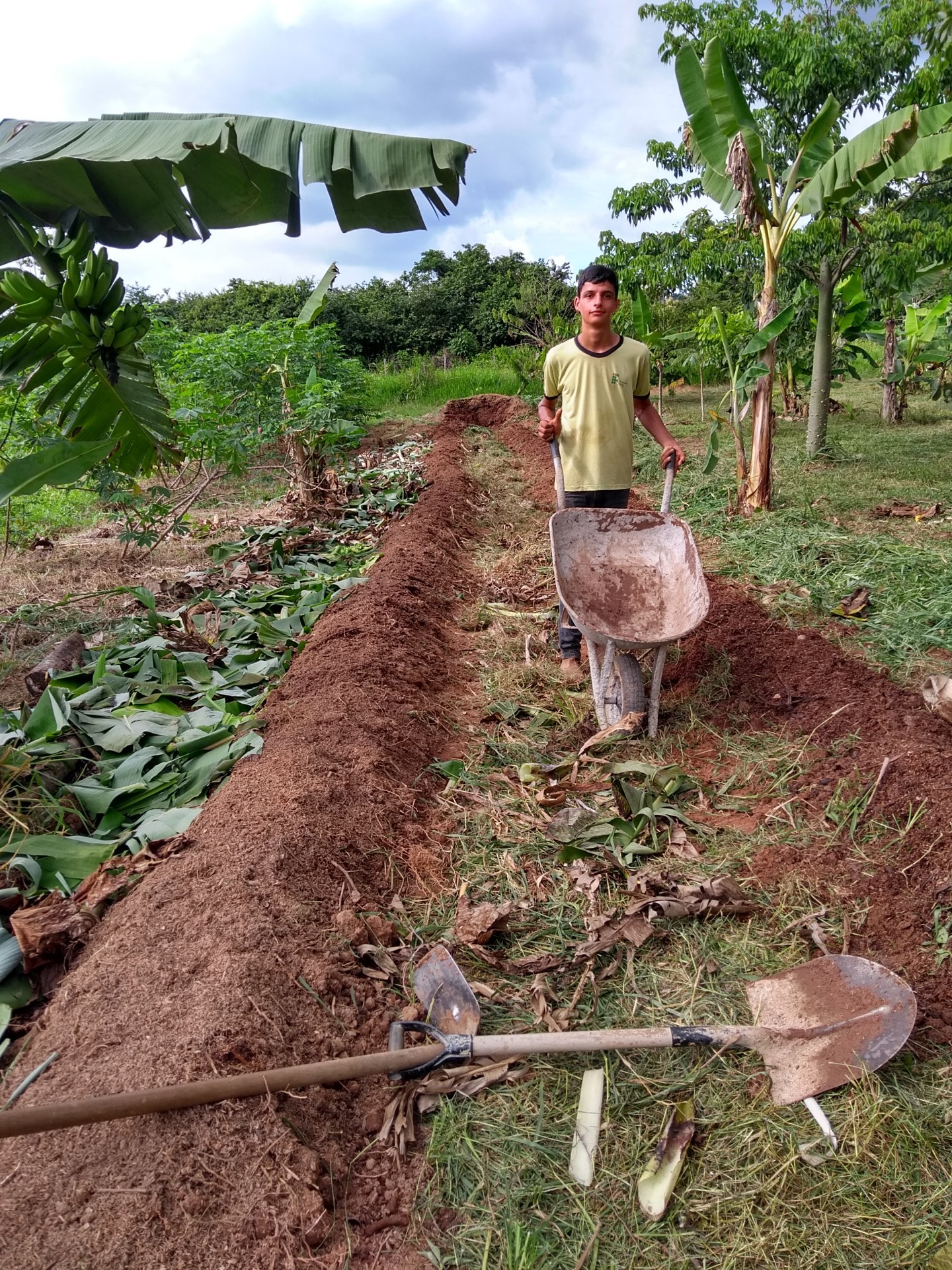 Estagiário trabalha na horta agroflorestal da São Nicolau (Foto: Saulo Thomas) 