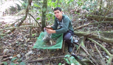 Pesquisa sobre serapilheira na Amazônia Mato-Grossense pode ajudar na preservação da floresta