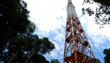 Inpa começa a instalar equipamentos na Torre Atto para monitorar o clima da floresta amazônica