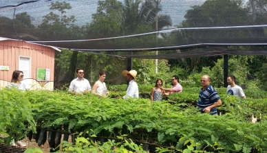 Representantes do Poder Público visitam o Programa de Restauração Florestal da Fazenda São Nicolau