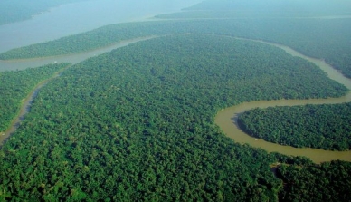 Predição de carbono na Amazônia brasileira