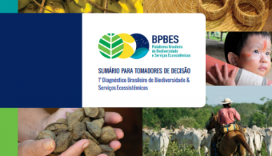 ONF Brasil participa do lançamento do Sumário para Tomadores de Decisão da Plataforma Brasileira de Biodiversidade e Serviços Ecossistêmicos