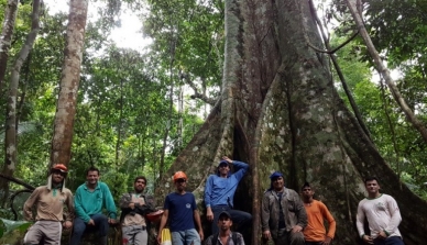 Com o apoio da ciência e da tecnologia, o manejo sustentável da floresta nativa da Fazenda São Nicolau é autorizado pela Secretaria de Meio Ambiente