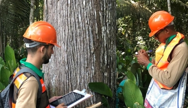 Equipes da ONF Brasil realizam inventário em área de floresta nativa da Fazenda que será manejada em 2021