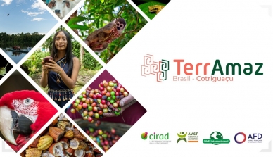 ONF Brasil e ICV lançam o Projeto TerrAmaz que apoiará o planejamento territorial e a transição agroecológica de atividades produtivas em Cotriguaçu (MT)