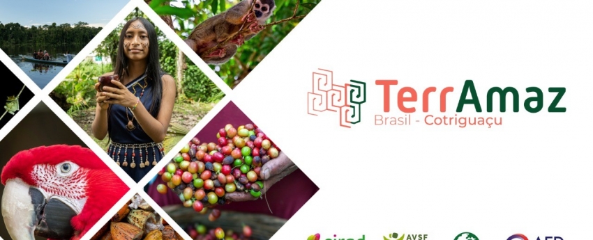 ONF Brasil e ICV lançam o Projeto TerrAmaz que apoiará o planejamento territorial e a transição agroecológica de atividades produtivas em Cotriguaçu (MT)