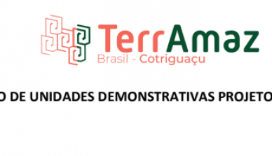 Projeto TerrAmaz inicia 1ª seleção de propriedades em Cotriguaçu para implementação de Unidades Demonstrativas de transição agroecológica de café e pecuária até 27/08