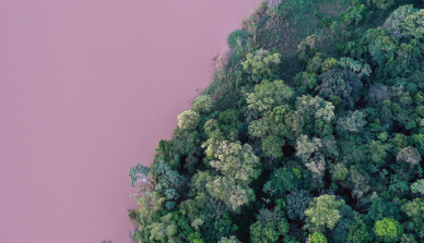 Successes and struggles: Brazil’s 20-year Amazon reforestation carbon sink project