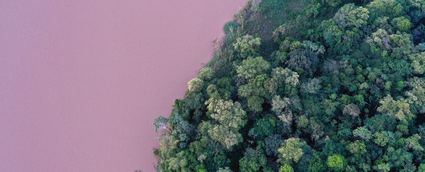 Successes and struggles: Brazil’s 20-year Amazon reforestation carbon sink project